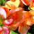 Spring Flowers Icon 13