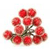 Red Holly Berries Icon