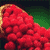 Strawberries Icon 3