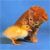 Animals Buddy Icon 2