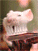 Hamster Buddy Icon 2