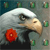 Eagle Buddy Icon 4