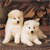 Dog Buddy Icon 218