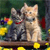 Cat Buddy Icon 360