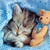 Cat Buddy Icon 371