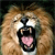 Lion Buddy Icon 2