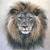 Lion Buddy Icon 3
