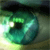 Eye Buddy Icon 5