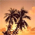 Palms Buddy Icon 3