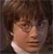 Harry James Potter Icon 5