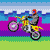 Motorcycle Rally 36
