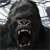 King Kong 3