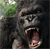 King Kong 2005