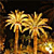 Palms Icon