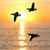 Sunset Icon 39