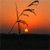 Sunset Icon 6