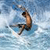 Surf Icon 29