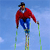 Skiing Icon 19