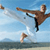Karate Icon 8