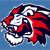 Arizona Wildcats 2