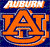 Auburn Tigers 5