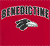 Benedictine Ravens 4