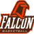 Bowling Green Falcons 4