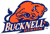 Bucknell Bison