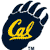 California Golden Bears 3