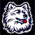 Connecticut  Huskies