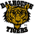 Dalhousie Tigers