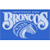 Fayetteville State Broncos