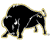 Harding Bisons