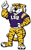 LSU Tigers 5