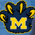 Michigan Wolverines 5