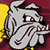 Minnesota-Duluth Bulldogs