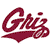 Montana Grizzlies 3