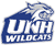 New Hampshire Wildcats 6