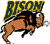 North Dakota State Bison 2