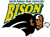 North Dakota State Bison 4