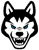 Northeastern Huskies 3