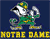 Notre Dame Fighting Irish 3