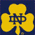 Notre Dame Fighting Irish 5