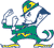 Notre Dame Fighting Irish 8