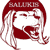 Southern Illinois Salukis 12