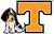 Tennessee Volunteers 3