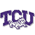 Texas Christian Horned Frogs 2