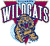 Villanova Wildcats