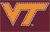 Virginia Tech Hokies 3