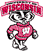 Wisconsin Badgers 9